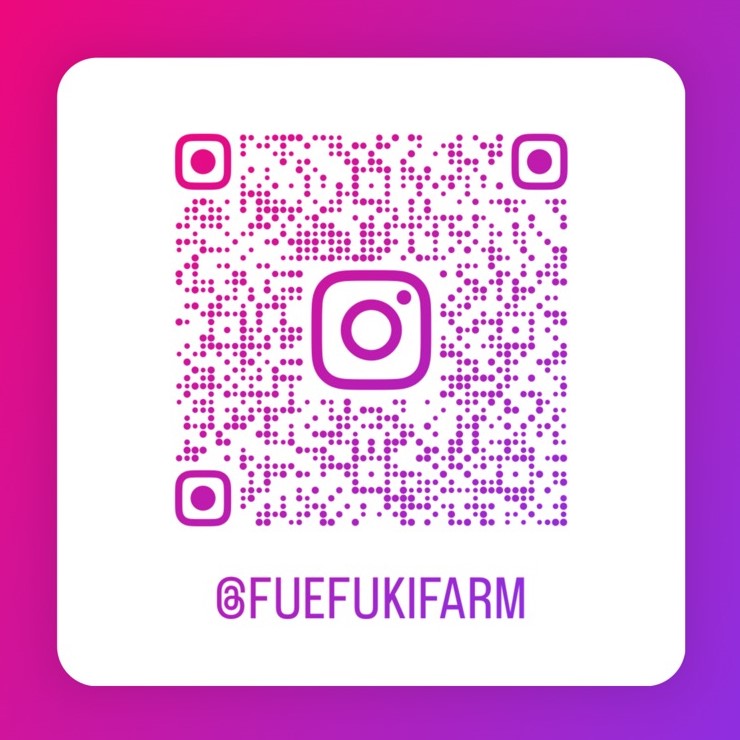 �ӂ��ӂ��t�@�[�� Instagram